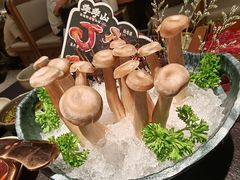 -季季山·云南野生菌火锅(上海首店)