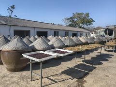 -苏州市吴中区光福窑上花果蜜饯厂