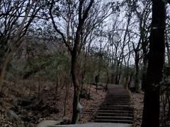 -紫金山山顶公园