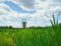 -永定河休闲森林公园