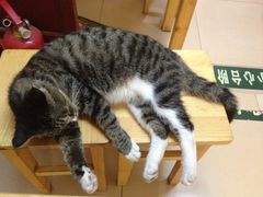 iphone_upload_pic-田记宫廷奶酪