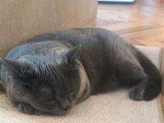 -Me Coffee下午茶艺术空间