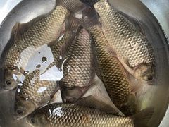 -宁波浙东大竹海景区