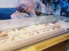 -中国（海南）南海博物馆