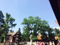 -南岳衡山风景名胜区-南岳大庙