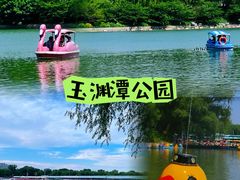 -莲花池公园