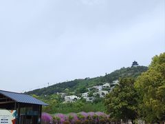 -苏州海洋馆