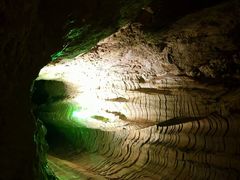 -怀托摩萤火虫洞