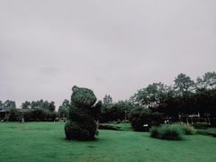 -夏河溪乡野公园