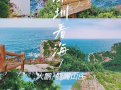-杨梅坑