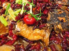 -老板恋上鱼(高新万达店)