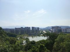 -飞凤山奥体公园