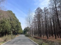 -蜀冈西峰生态公园