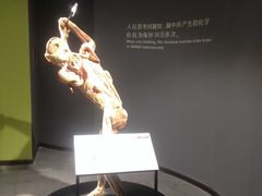 -生命奥秘博物馆