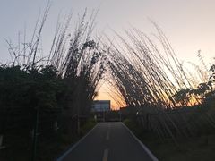 -红山体育乐园
