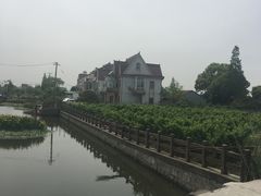 -上海鲜花港
