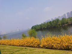 -长白岛森林公园