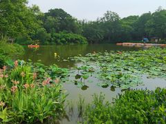 -西溪国家湿地公园