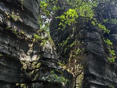 -梭布垭石林景区