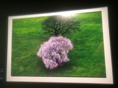 -罗红摄影艺术馆