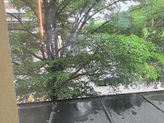 -德尚煌·顺德菜(誉山悠方天地店)