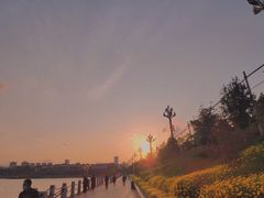 -安宁市宁湖森林公园