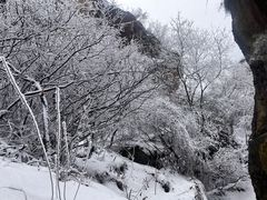 -秦岭终南山世界地质公园翠华山景区