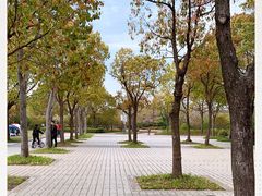 -新江湾城公园