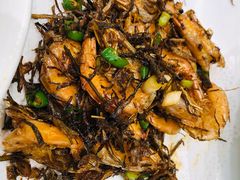 -碧丽宫大酒店(召稼楼店)