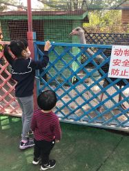 -萌宠亲子动物乐园(槐房万达店)