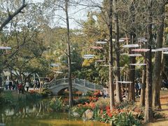 -人民公园(罗湖区)