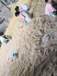 -恐龙探索乐园(磁器口店)