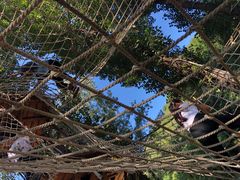 -蟠龙山长城景区