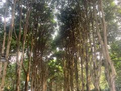 -华南国家植物园-售票处