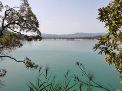 -广州市流溪河国家森林公园