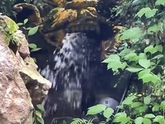 -杭州黄龙洞