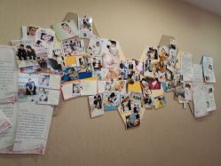 -海豚湾高端月子会所(黄浦店)