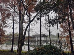 -渤公岛生态公园
