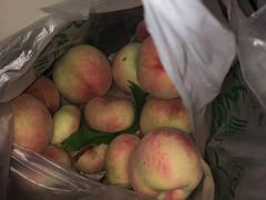 -万源龙顺度假庄园生态观光园