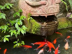 -黔灵山公园