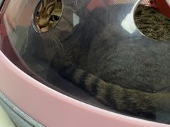 -宠颐生中康贝怡动物医院