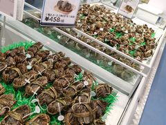 -盒马X会员店(上海森兰商都店)