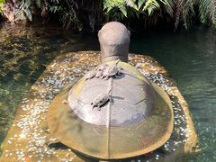 -鼎湖山风景区