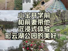 -重庆彩云湖湿地公园