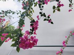 -彳亍咖啡·这里(水湾路店)