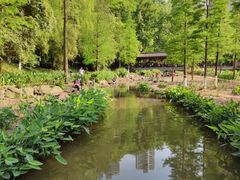 -重庆彩云湖湿地公园