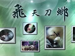 -上海昆虫博物馆