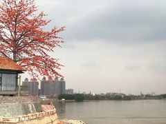 -喜洲吧·江畔老船厂·庭院餐厅(喜临院店)