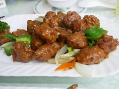 -宝发园名菜馆
