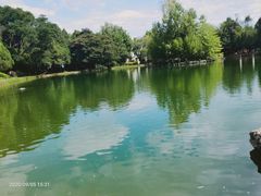 景点-蝴蝶泉公园